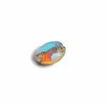 Oval crystal ab aaa cosidas lado