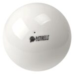 Comprar pelota gimnasia rítmica